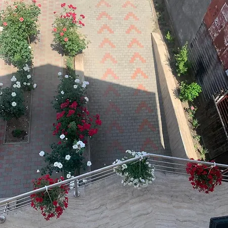 Vila Iris Villa *